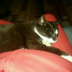 Meet your Posher, Terri